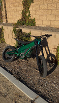 PRE ORDER 3x frame guards